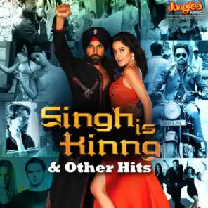 Bhootni Ke (From "Singh Is Kinng") (Tiger Style Mix)