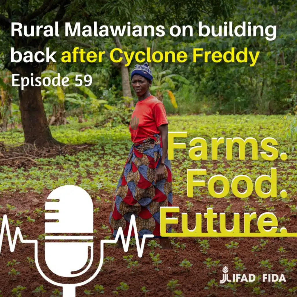 Rural Malawians on building back after Cyclone Freddy