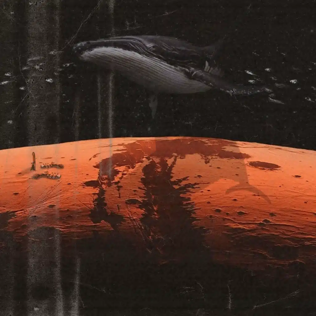 Отголоски небесной скорби (feat. OGre)