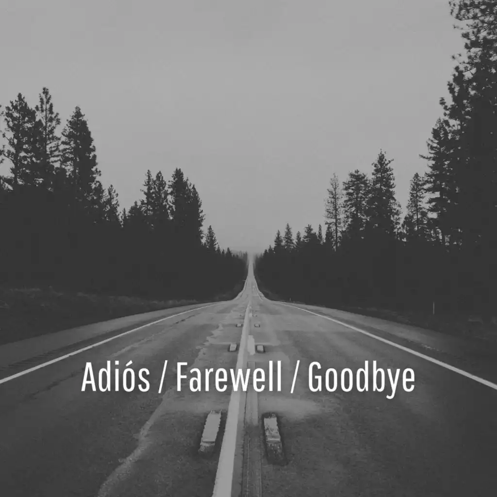 Adiós / Farewells / Goodbyes