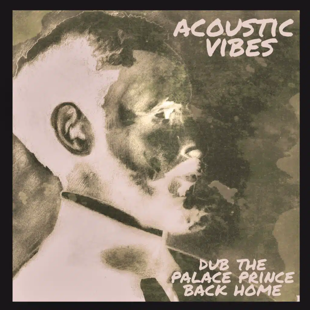 Dub The Palace Prince Back Home (feat. Ras Teo)
