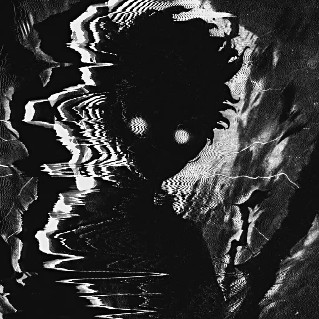 nightfxrce & trusteki