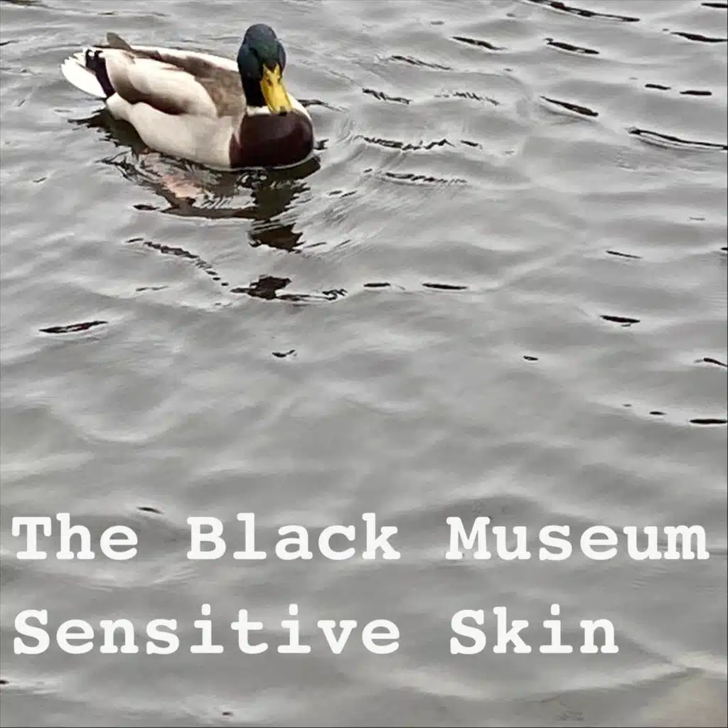 The Black Museum