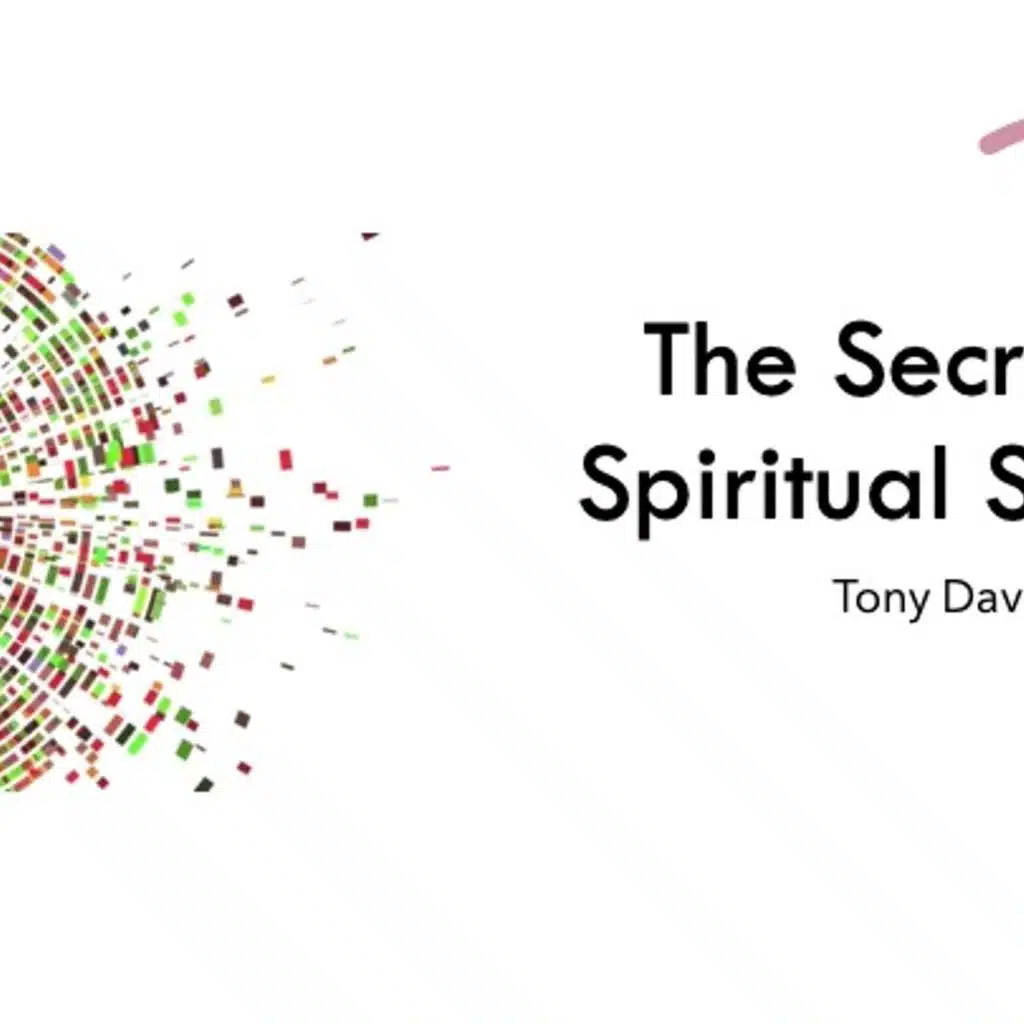 The Secret of Spiritual Success - Tony Davis