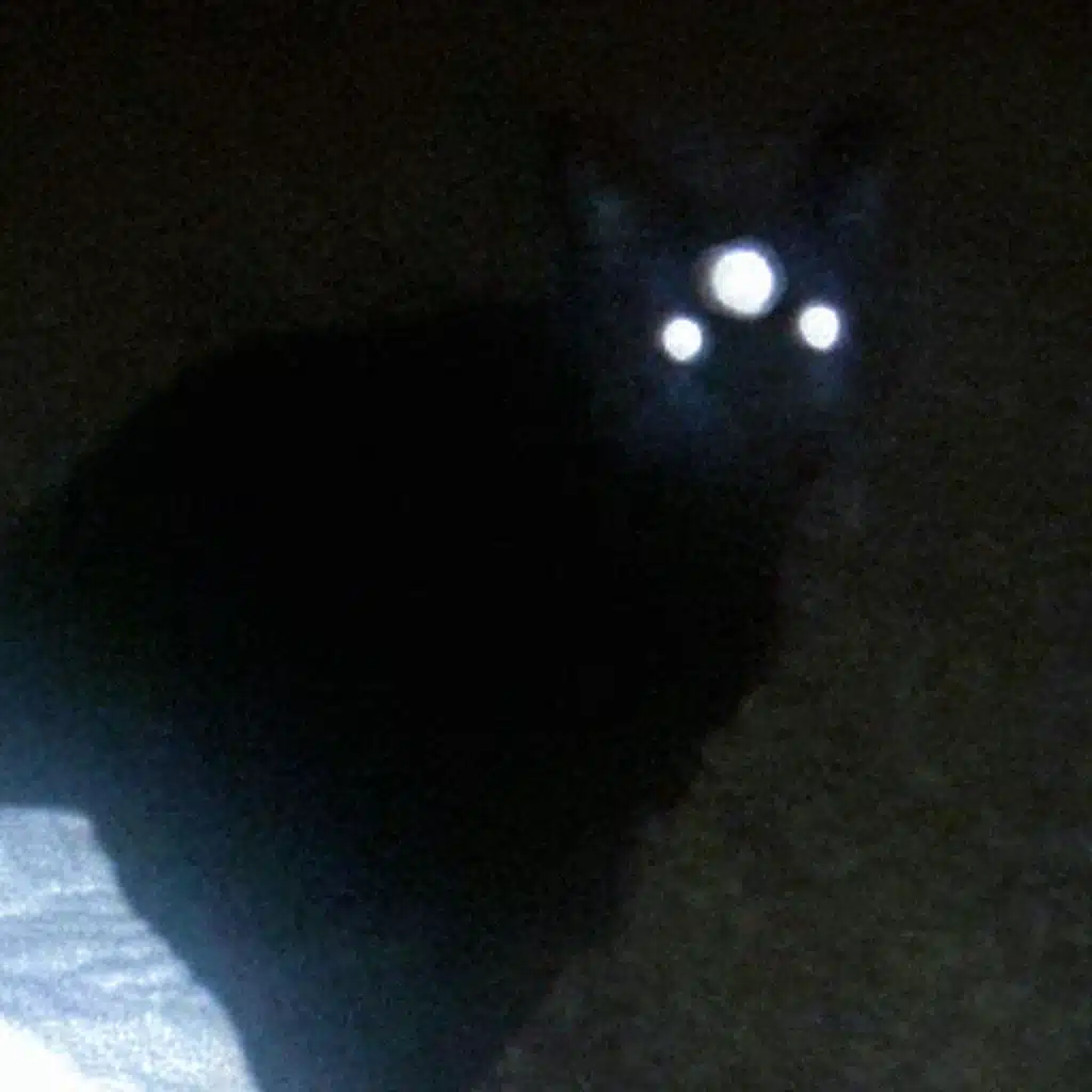 III 2499 2422 242499&nbsp;22&nbsp;922