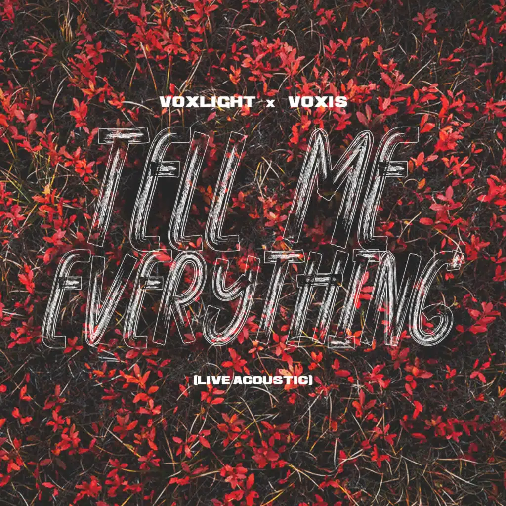 Voxlight, Voxis & STUDIO 66