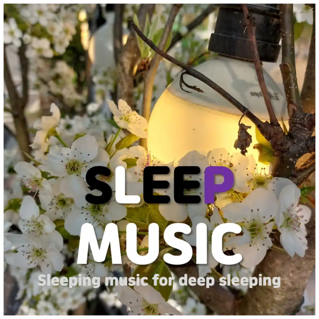 sleeping music for deep sleeping