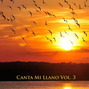 Canta Mi Llano Vol 3