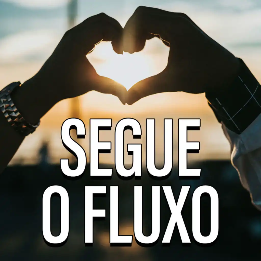 Segue o Fluxo