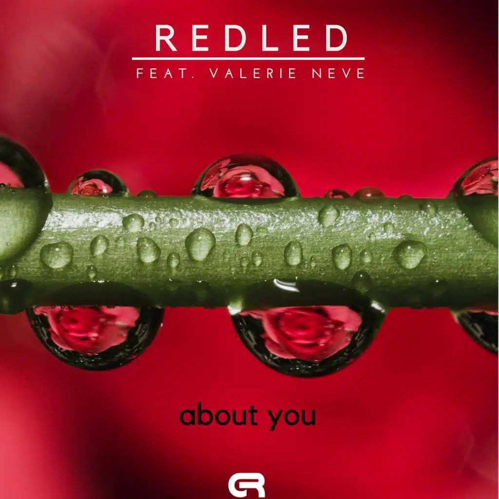 About You (feat. Valerie Neve)