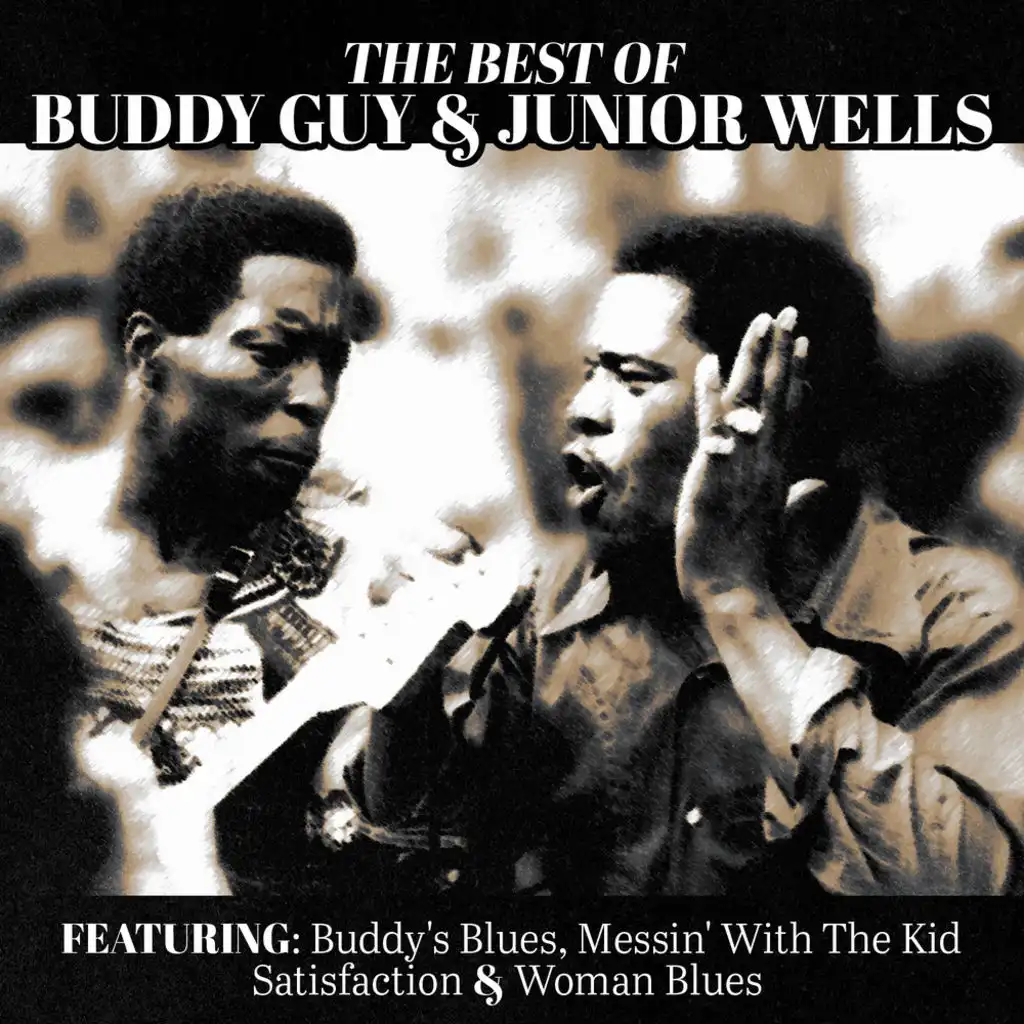 The Best of Buddy Guy & Junior Wells
