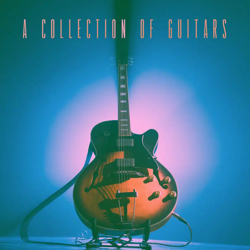 A Collection Of Guitars