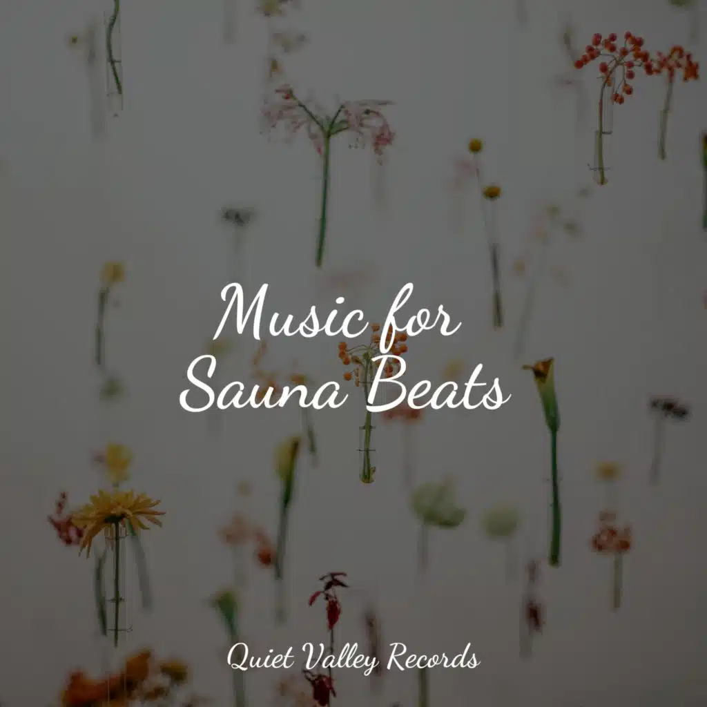 Music for Sauna Beats
