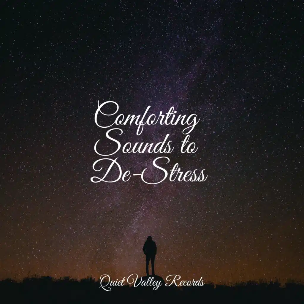 Comforting Sounds to De-Stress