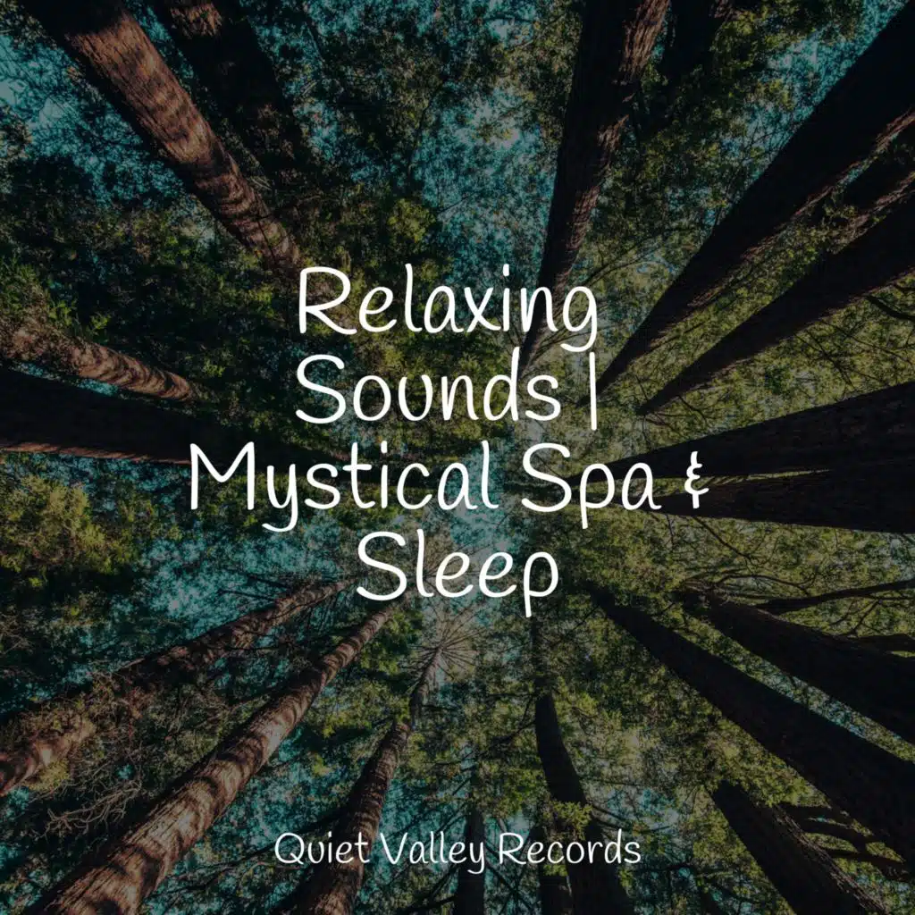 Relaxing Sounds | Mystical Spa & Sleep