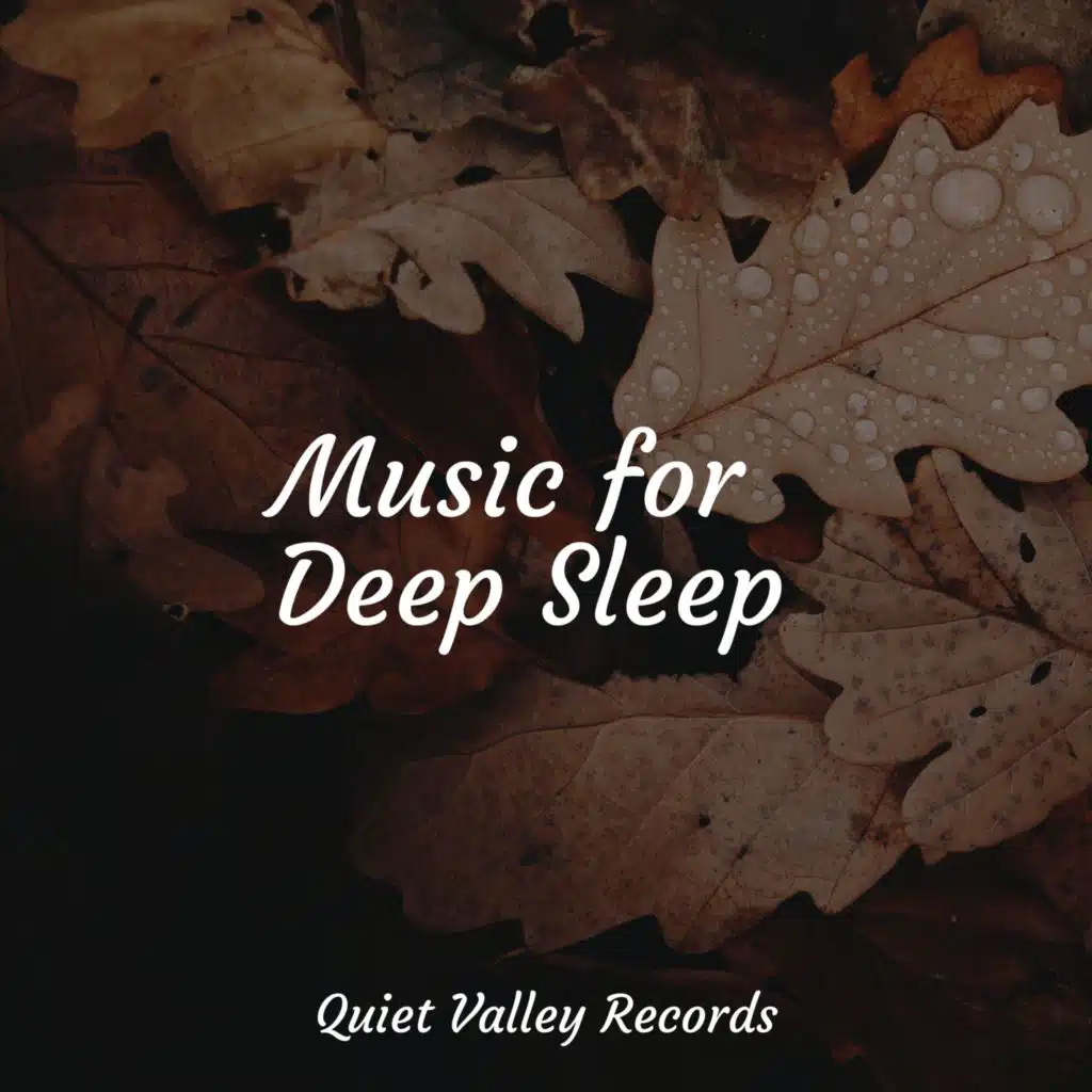 Music for Deep Sleep