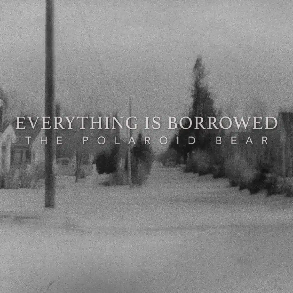 The Polaroid Bear