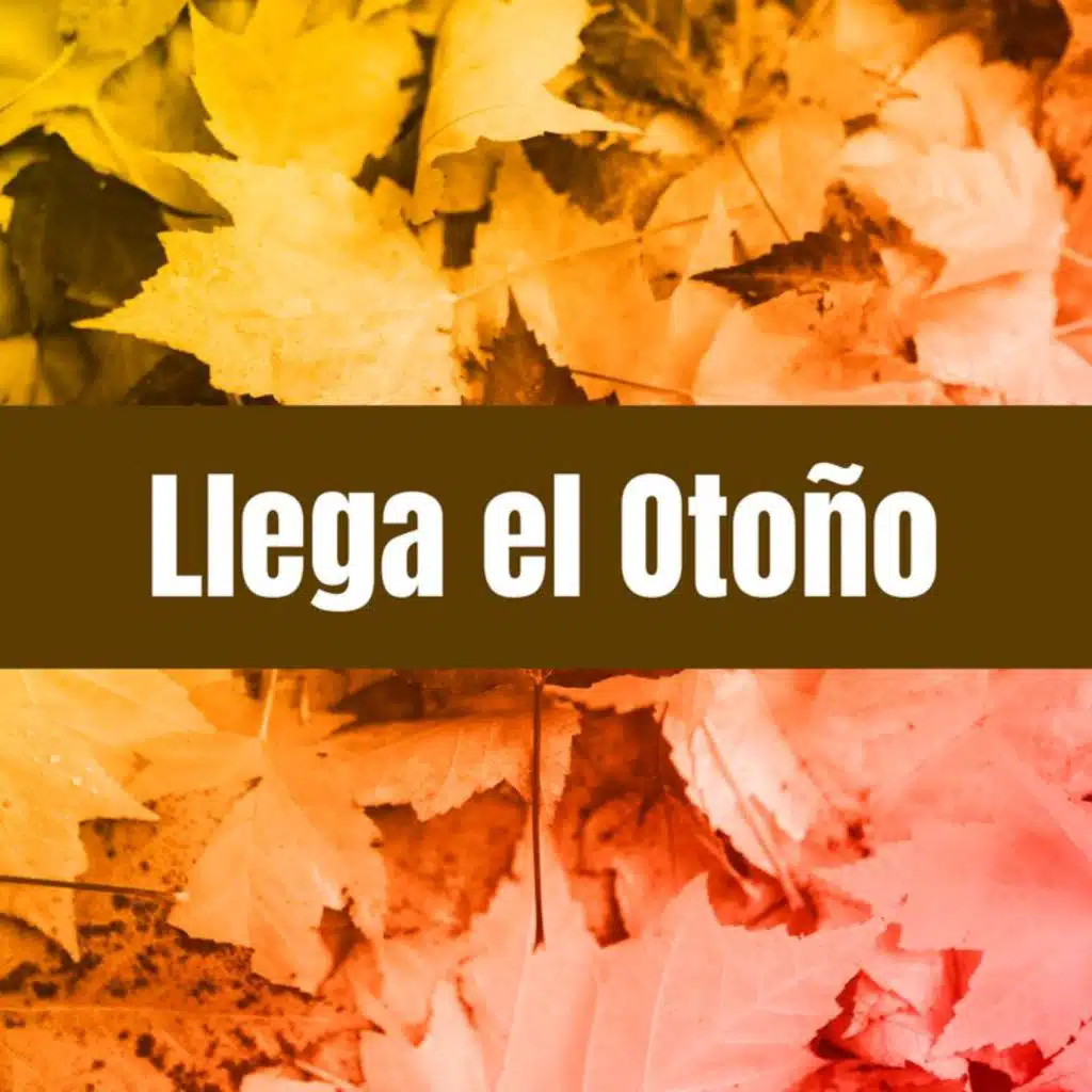 Despierta (Edición Especial Vespertina) [feat. Silvio Rodriguez]