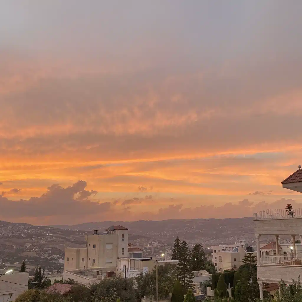 Chill III 🎞️🪵🌵🍃