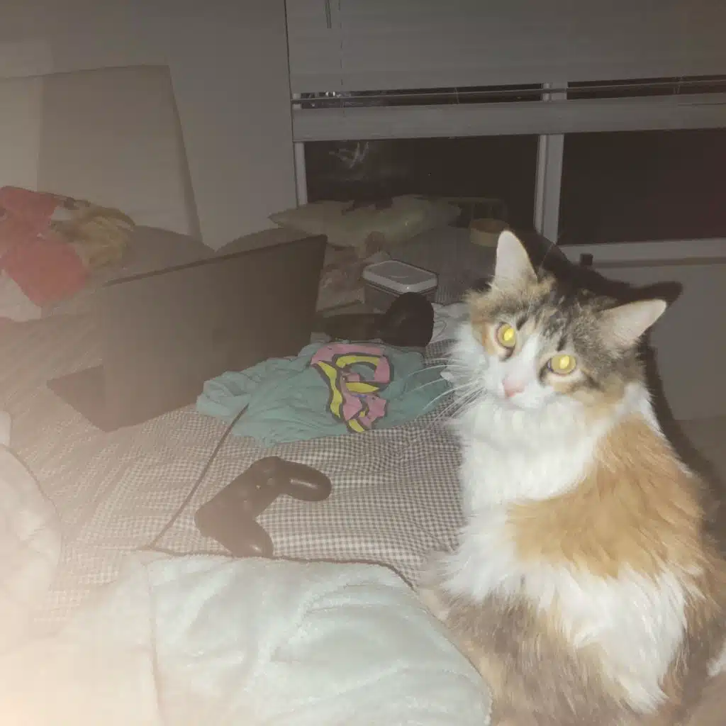 Spacecasts: This is Sam