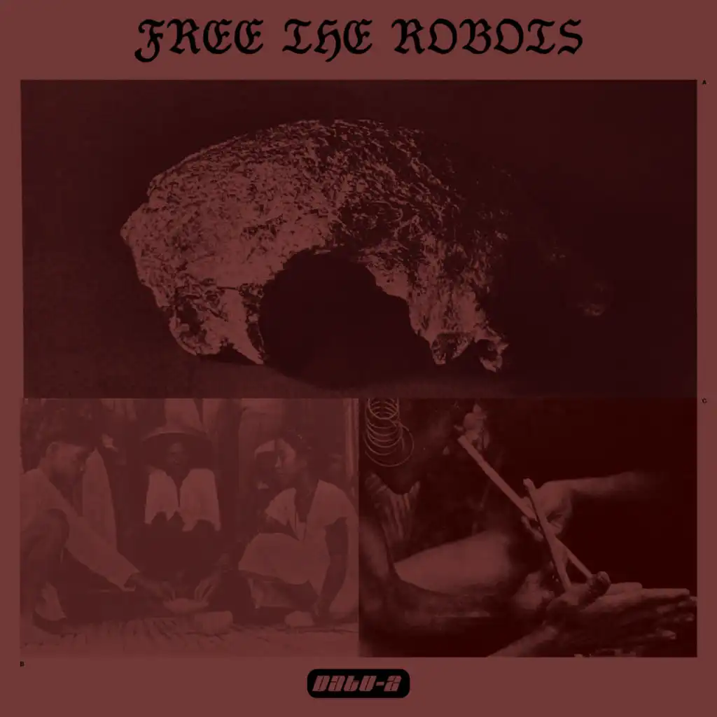 Free The Robots