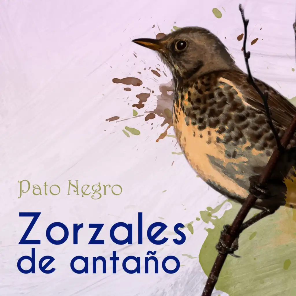 Zorzales de Antaño… Pato Negro