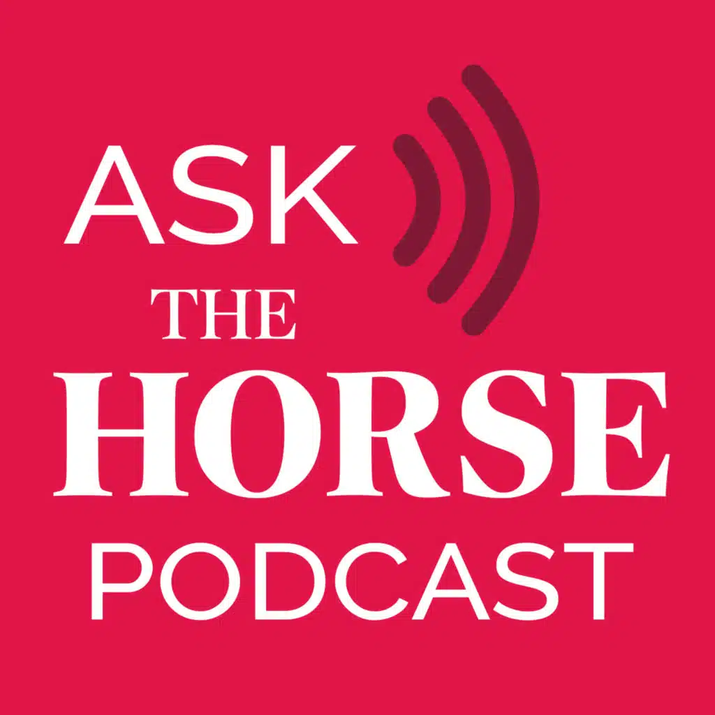 What You Need to Know About Equine Degenerative Joint Disease