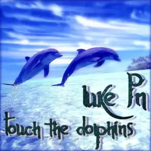 Touch The Dolphins
