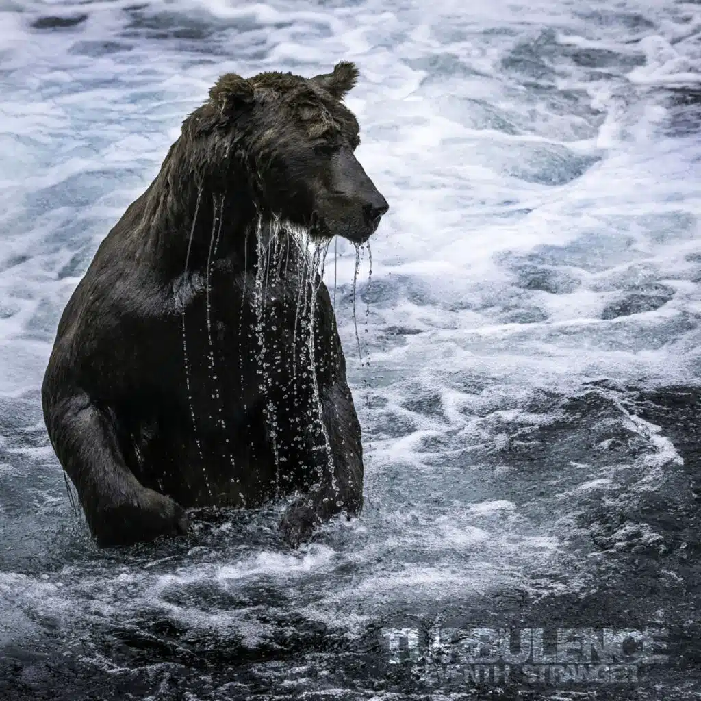 Welcome Back (Stranger)