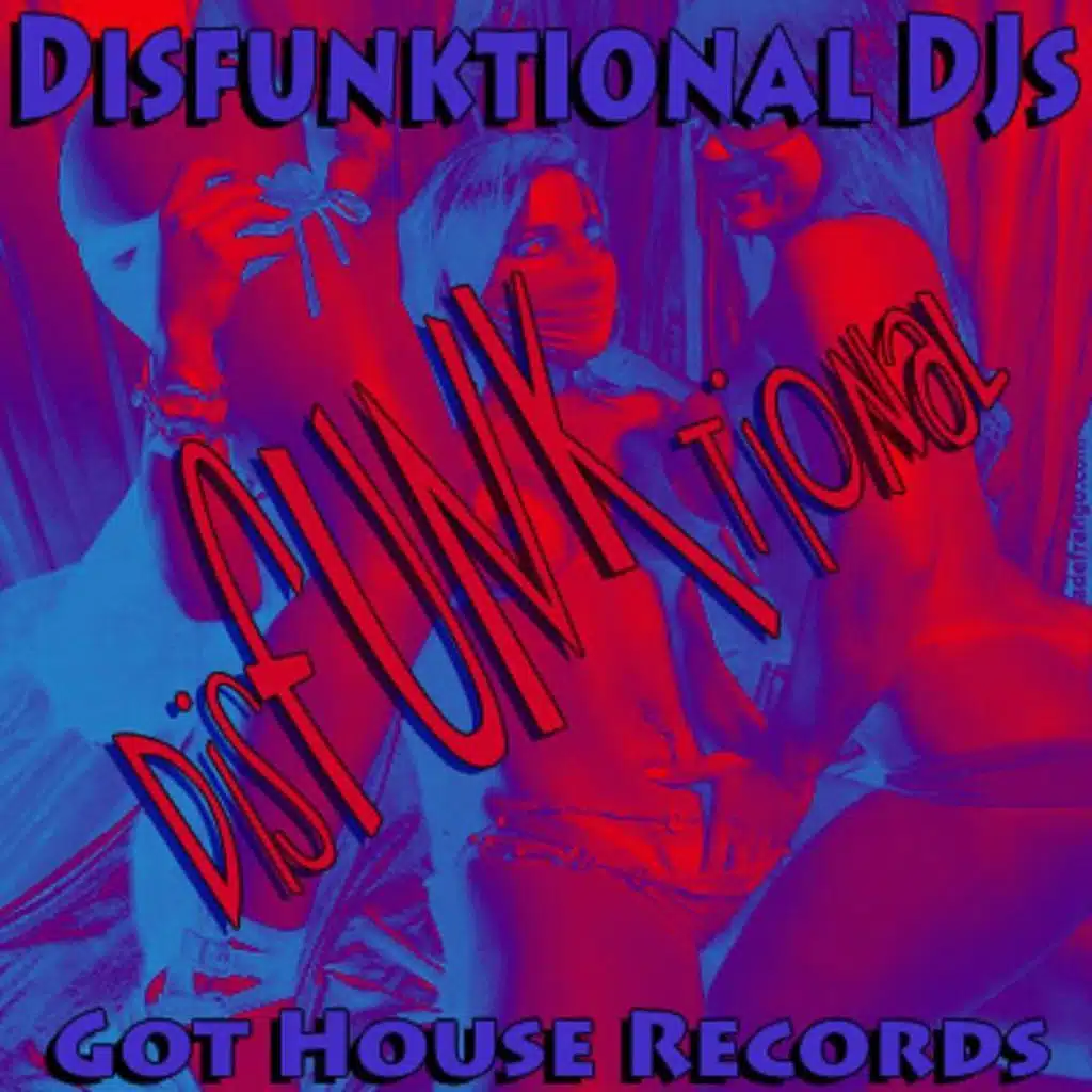 DisFUNKtional (Original Mix)