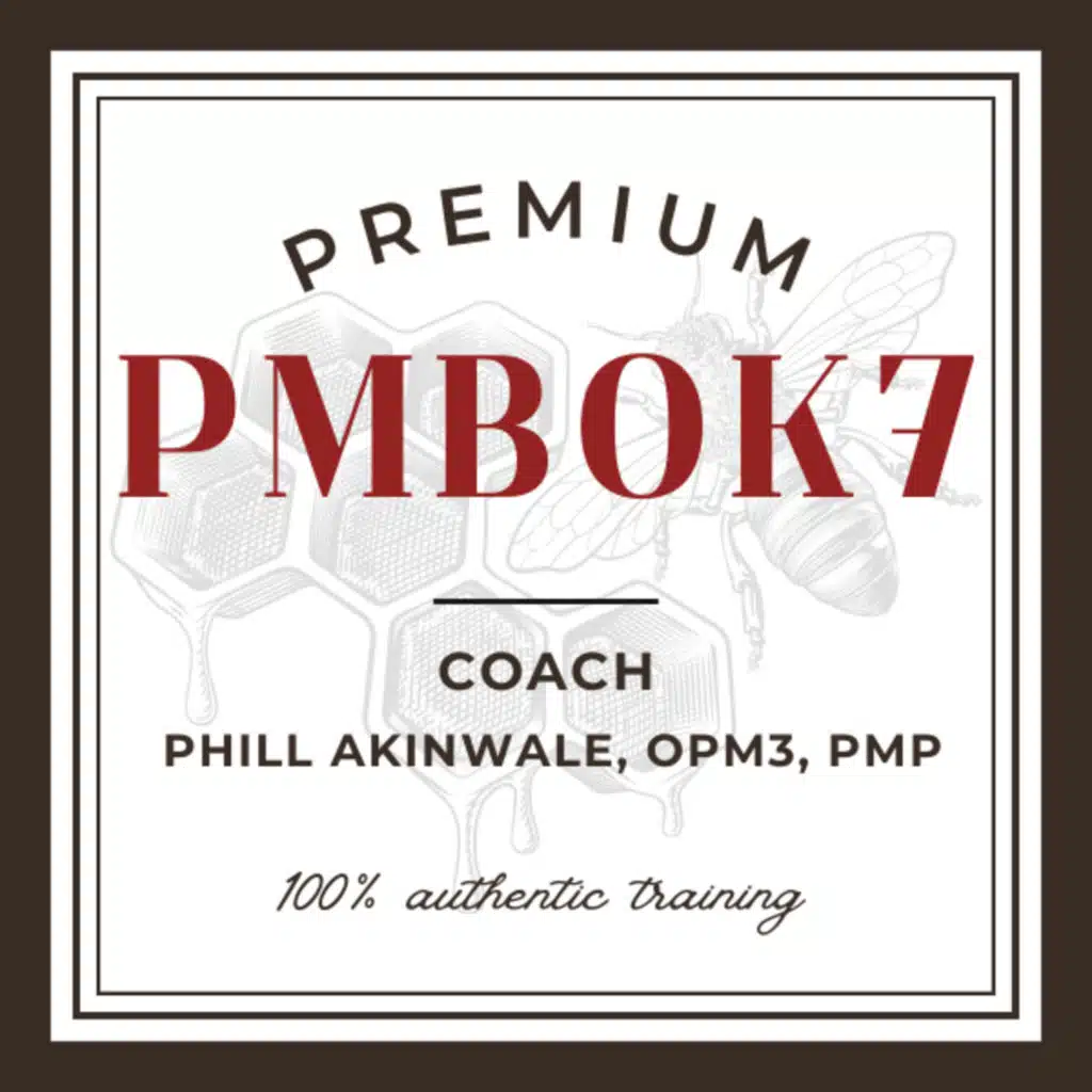 PMBOK Guide 7th Edition (All Artifacts Explained)