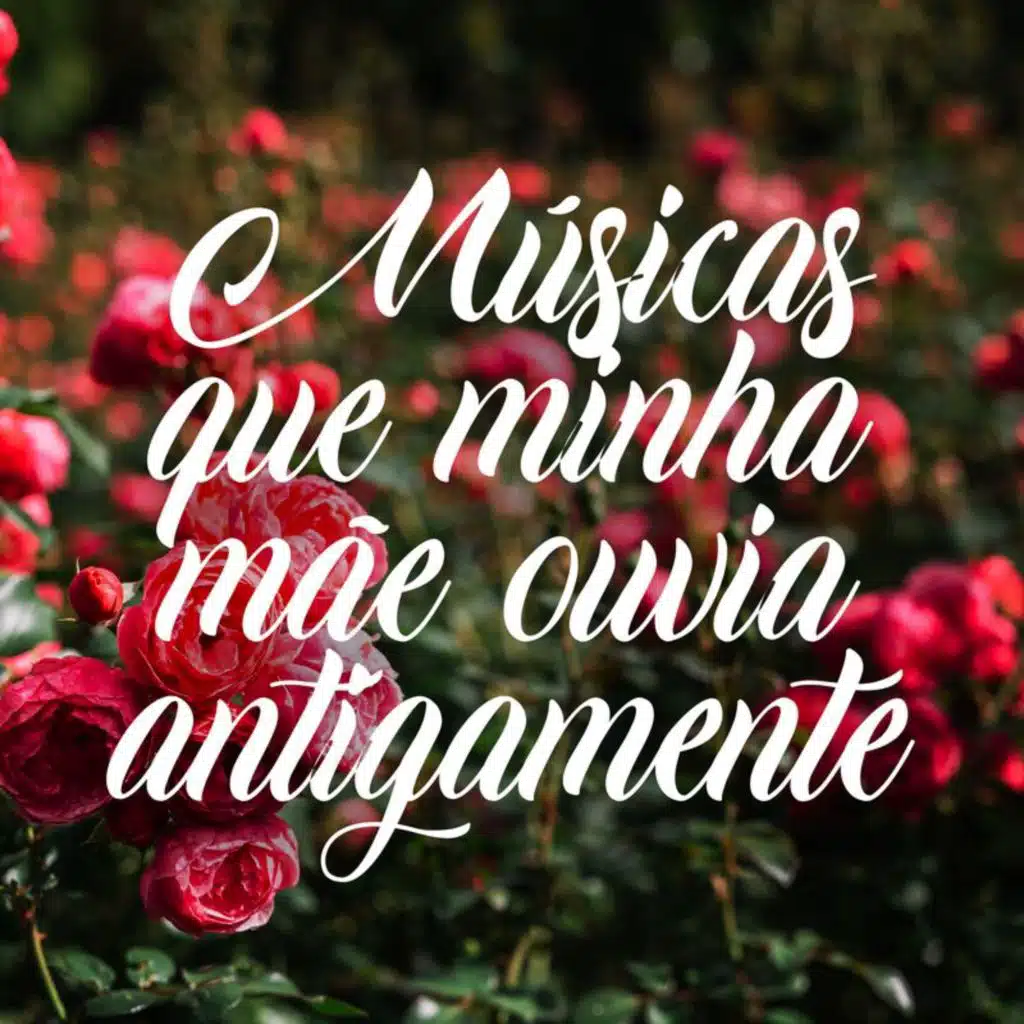 Somewhere Only We Know