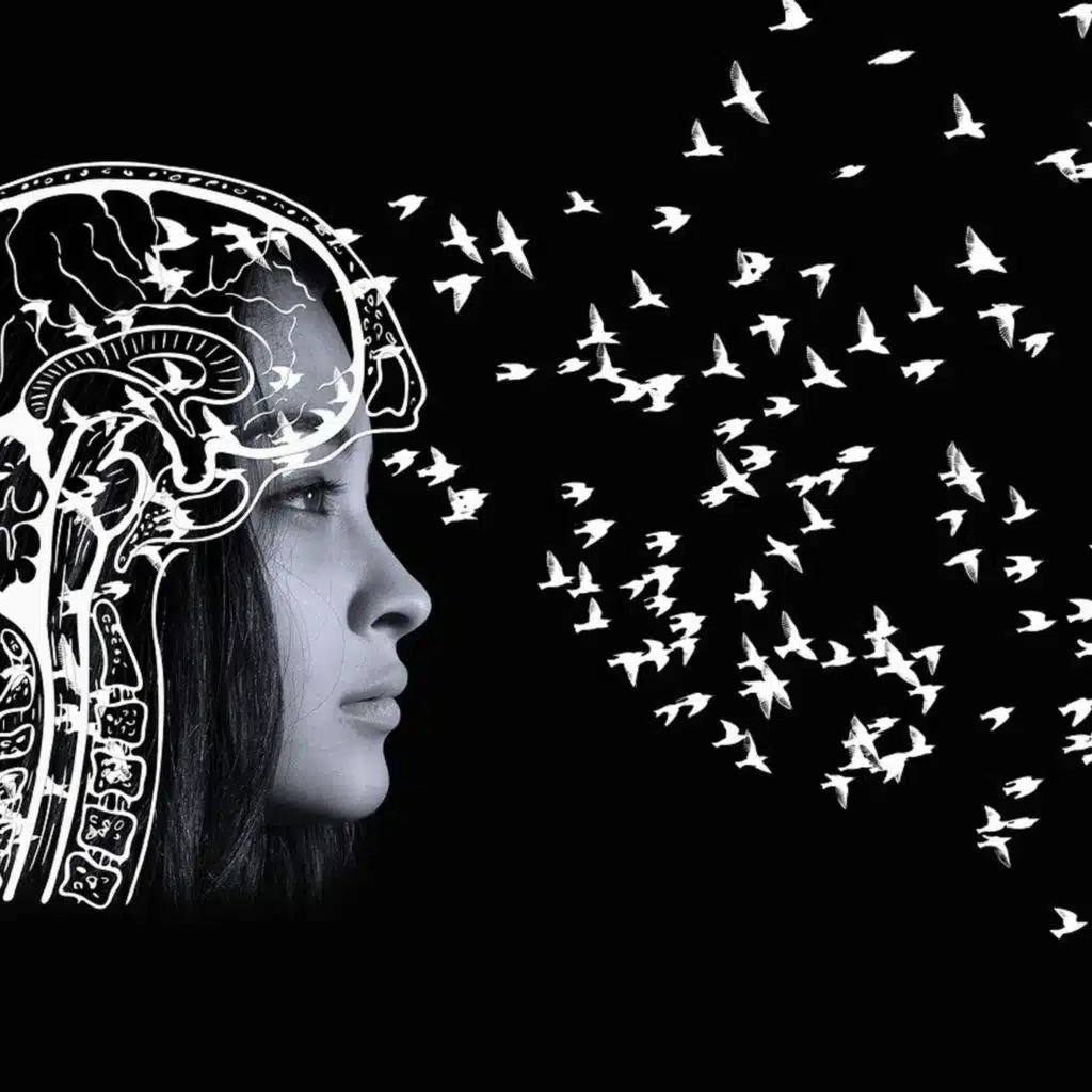 World Migratory Bird Day | Naming the Bird Brain