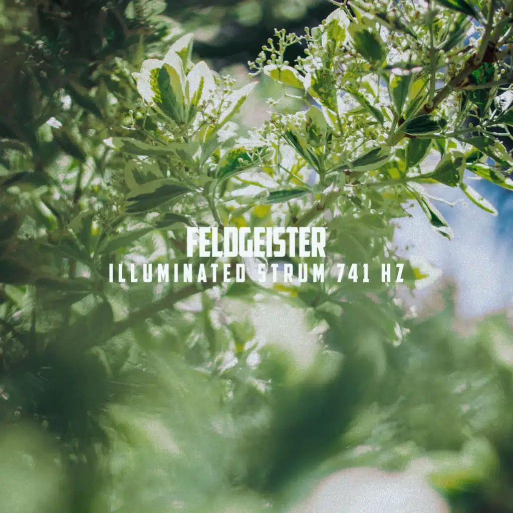 Feldgeister