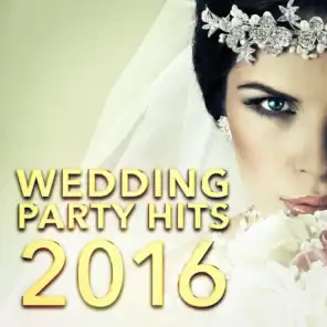 Wedding Party Hits 2016