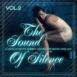 The Sound of Silence, Vol. 2 (Taste of Erotic Ambient Lounge and Chill Out)