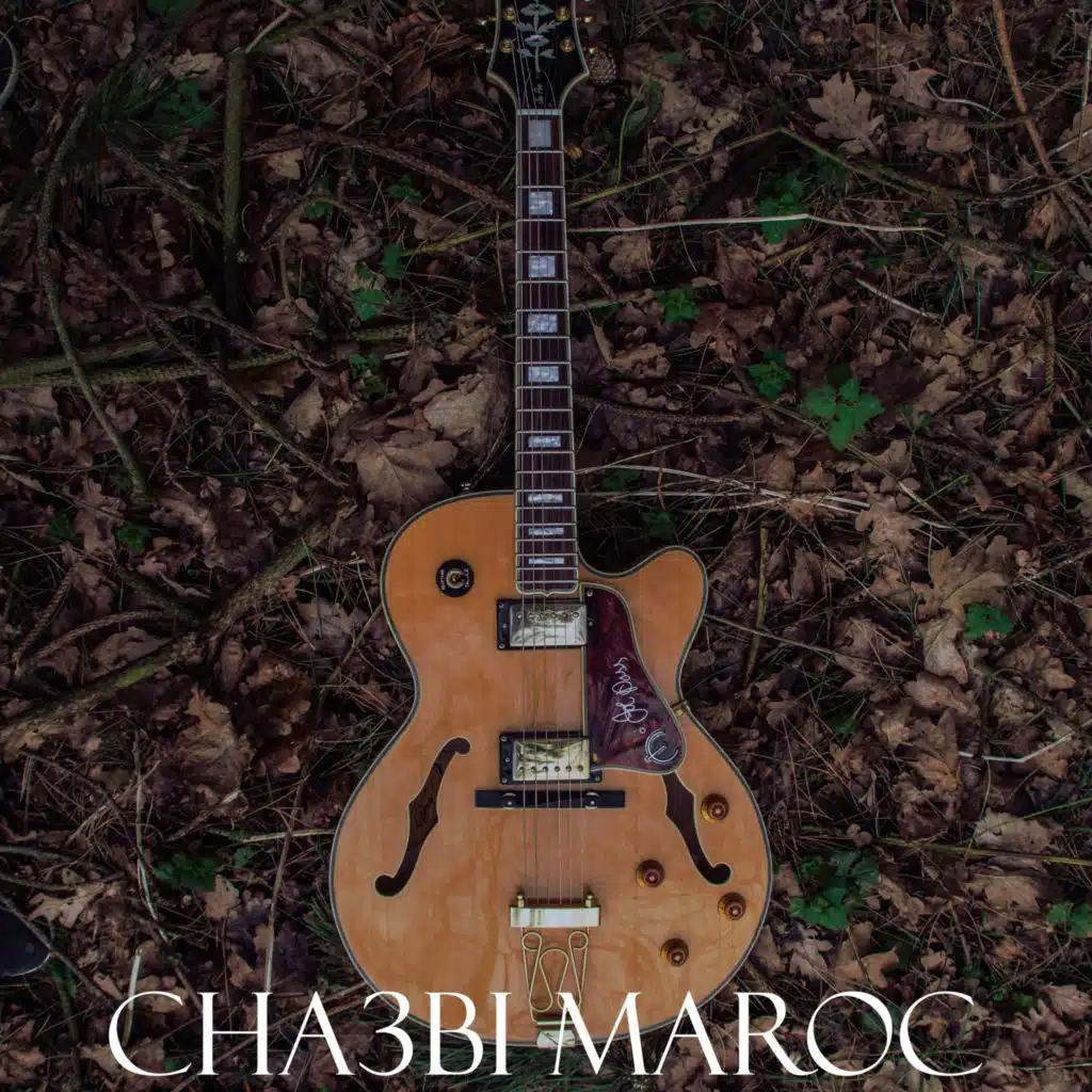 شعبي نايضة لجميع الاعراس والافراح