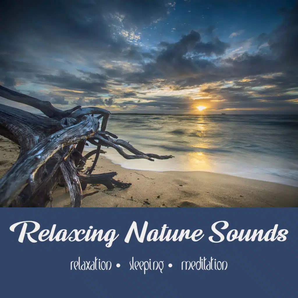 Night Ocean Waves | 8 Hour