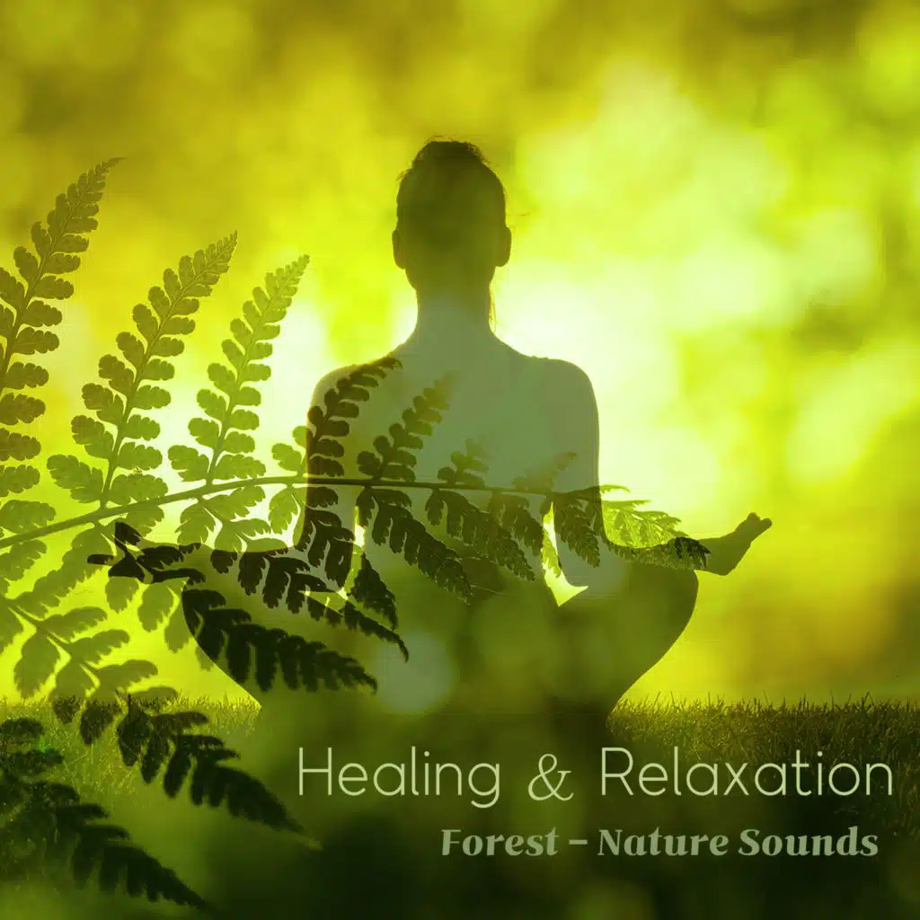 나뭇잎 왈츠 (오르골) (바람소리)