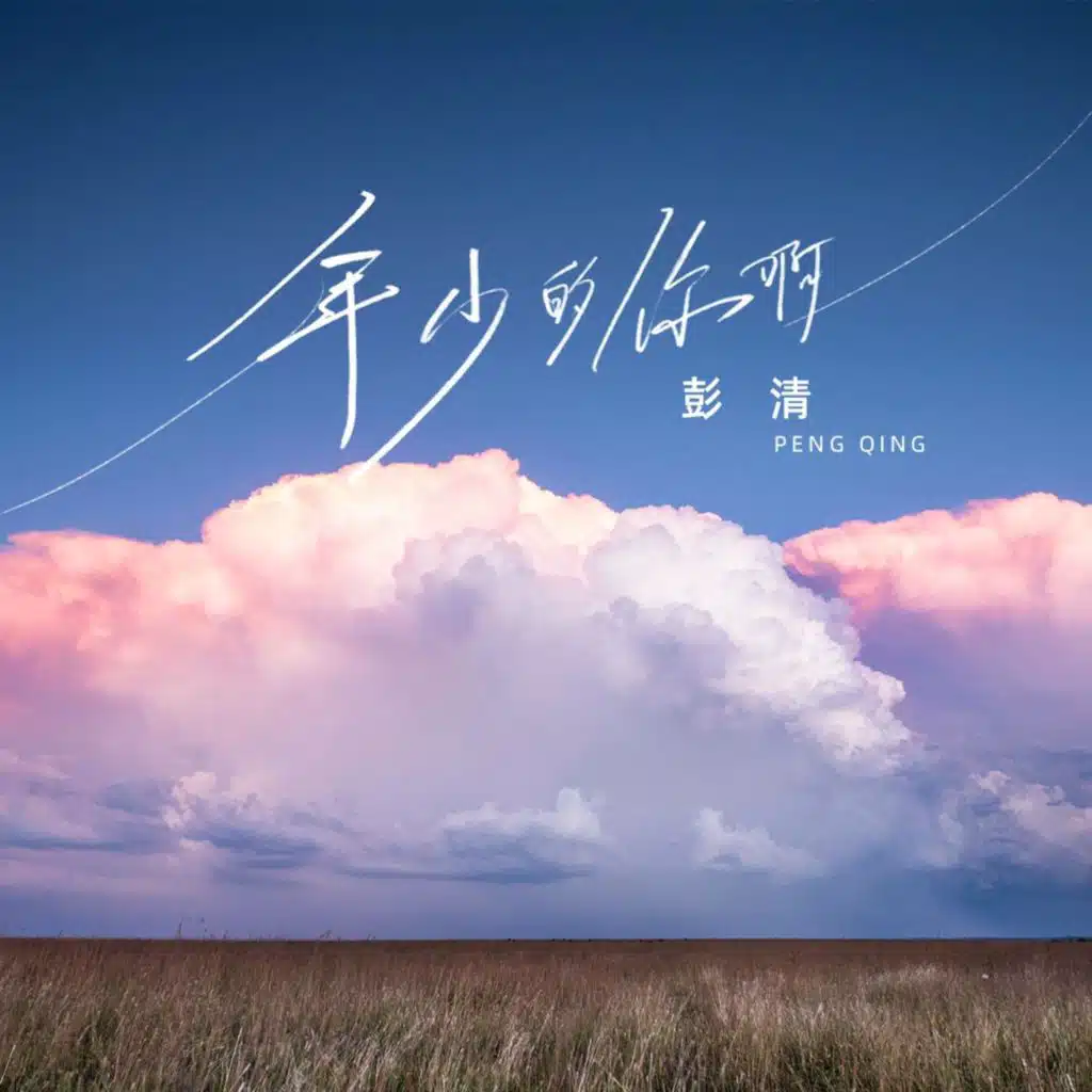 年少的你啊 (Dj九零版)