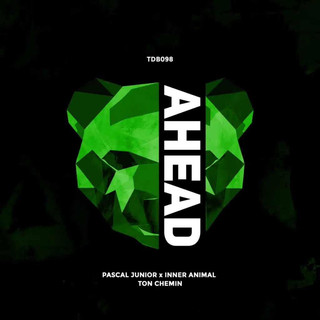 Ton Chemin (Radio Edit)