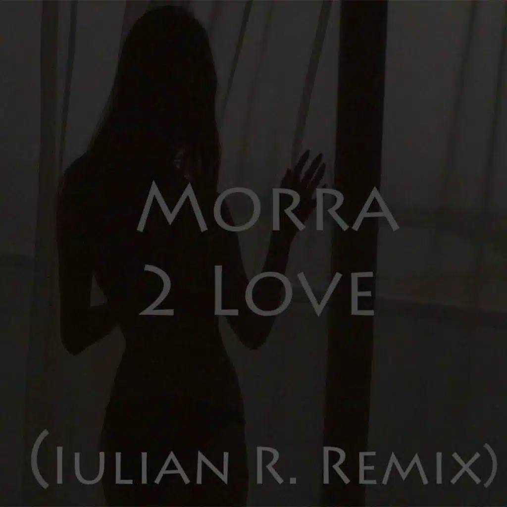2 Love (Iulian R Remix Extended)