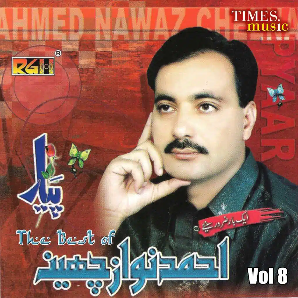 The Best of Ahmed Nawaz Cheena, Vol. 8