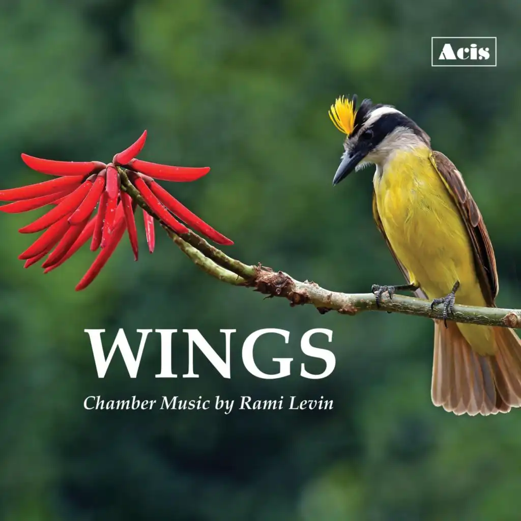 Wings: Chamber Music by Rami Levin