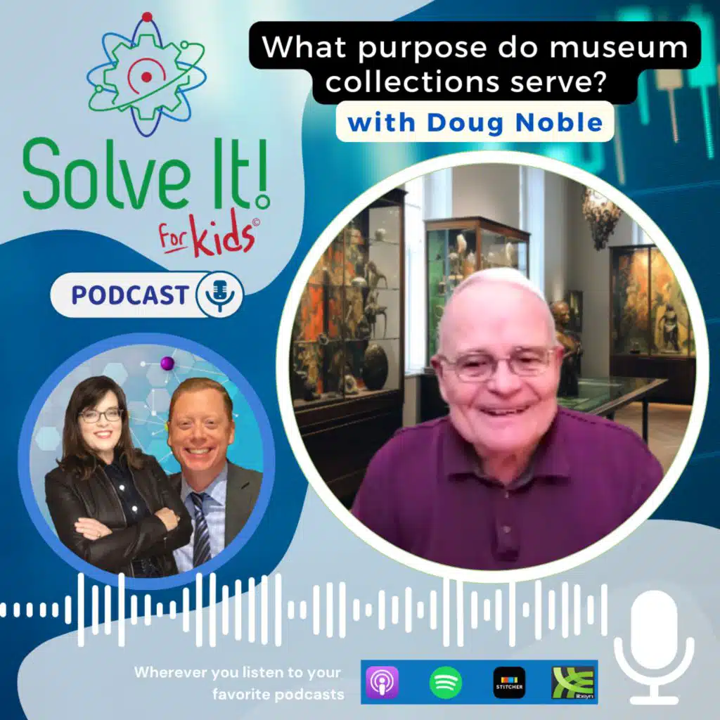 What Purpose Do Museum Collections Serve?