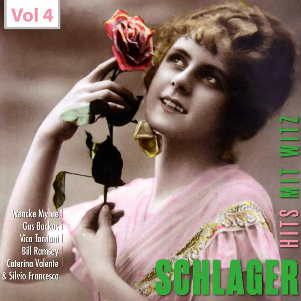 Schlager - Hits mit Witz, Vol. 4