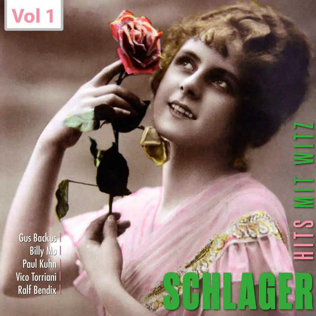 Schlager - Hits mit Witz, Vol. 1