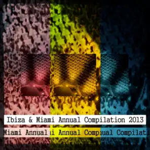 Ibiza & Miami Annual Compilation 2013 (The Best of Dance 2013 for DJs)