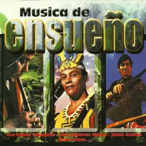 Musica de Ensueño, Vol. 3