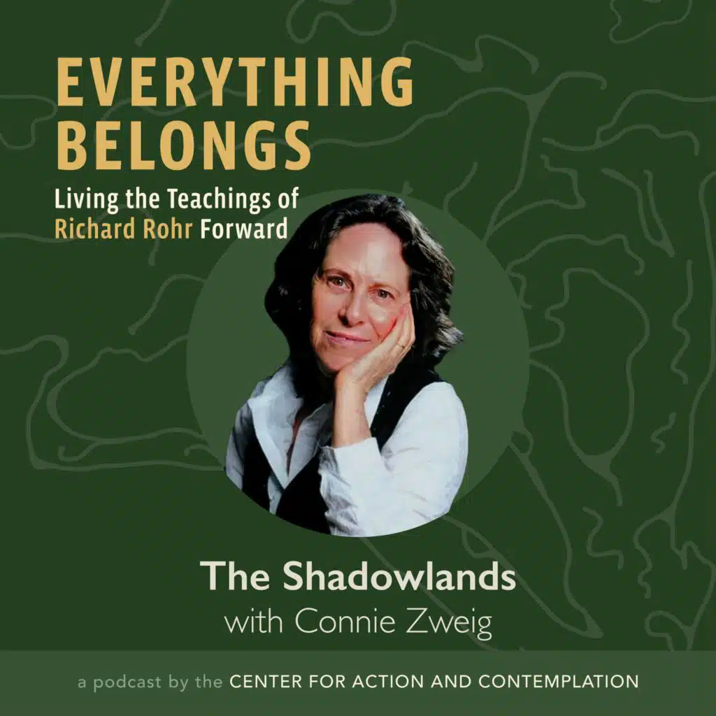 The Shadowlands With Connie Zweig